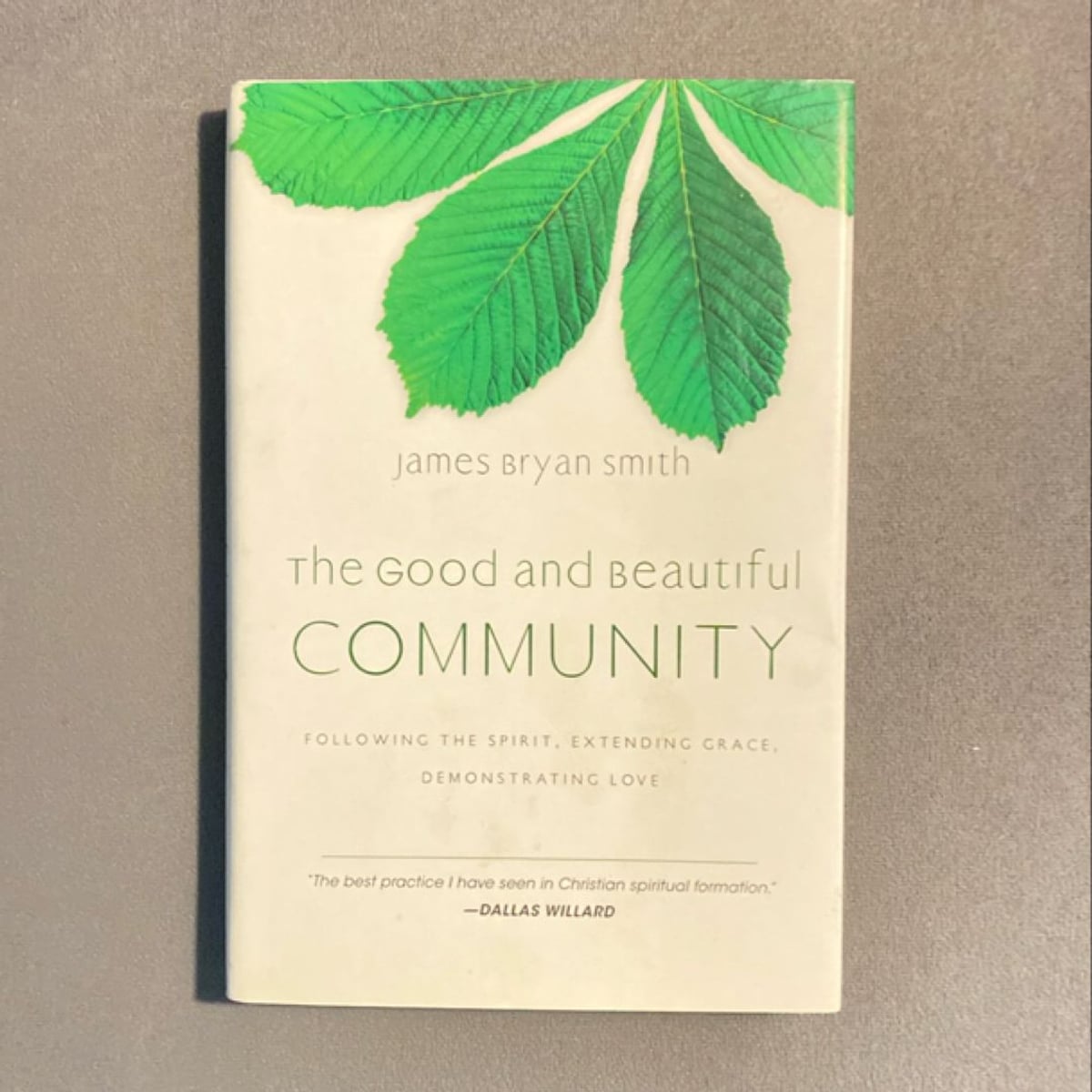 The Good and Beautiful Community by James Bryan Smith