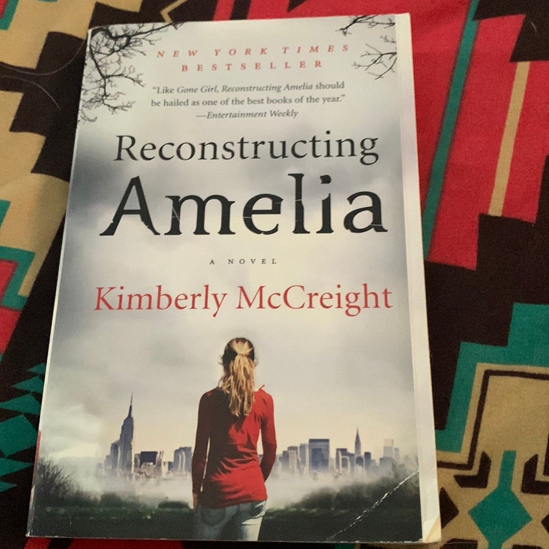 Reconstructing Amelia