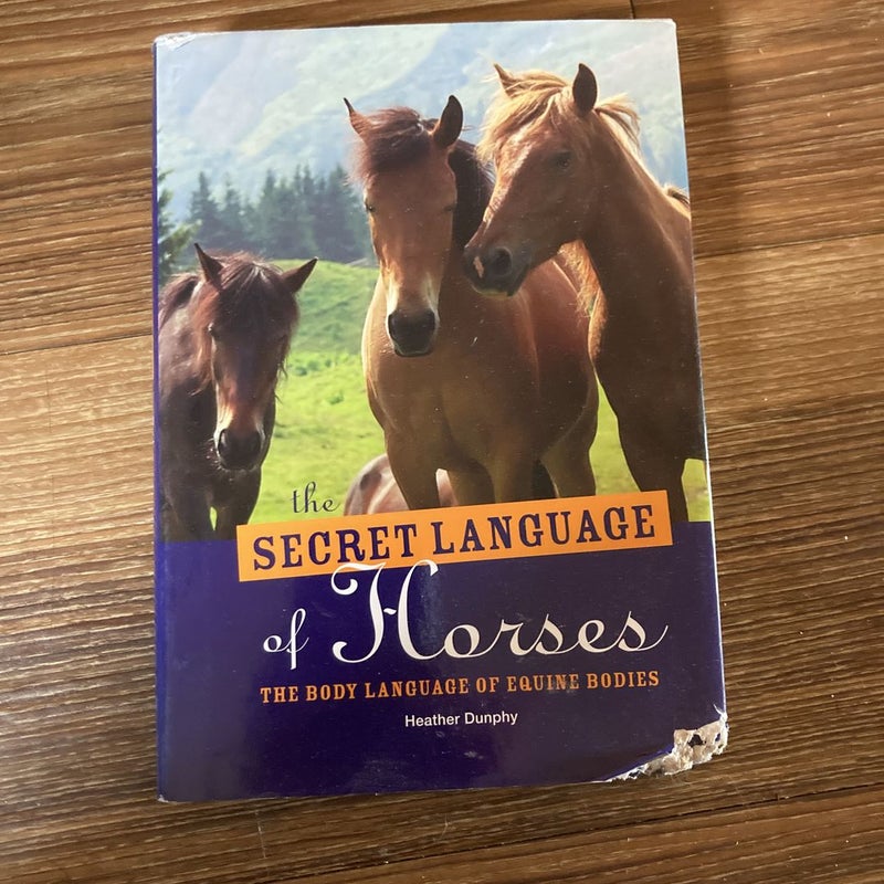 Secret Language of Horses