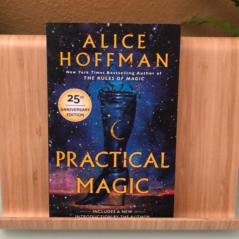 Practical Magic - by Alice Hoffman (Paperback)