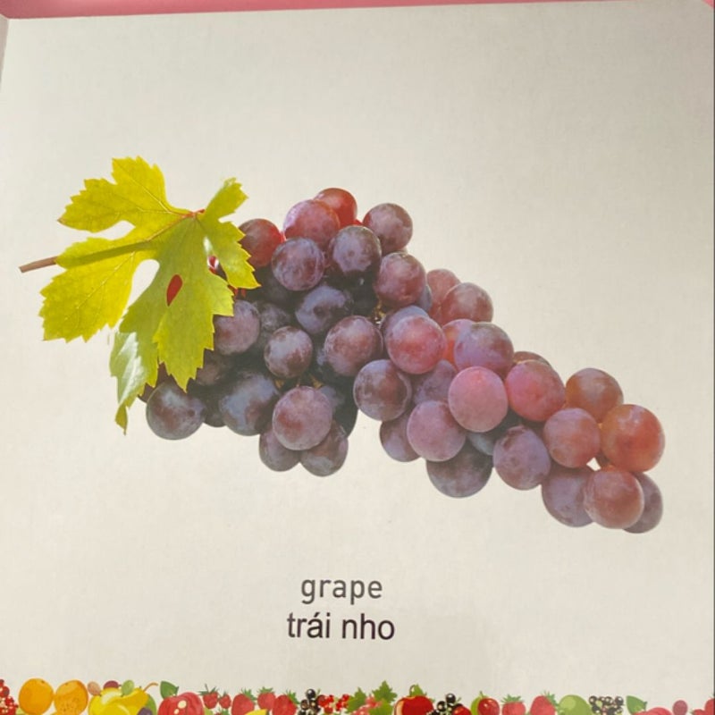 My First Bilingual Book-Fruit (English-Vietnamese)