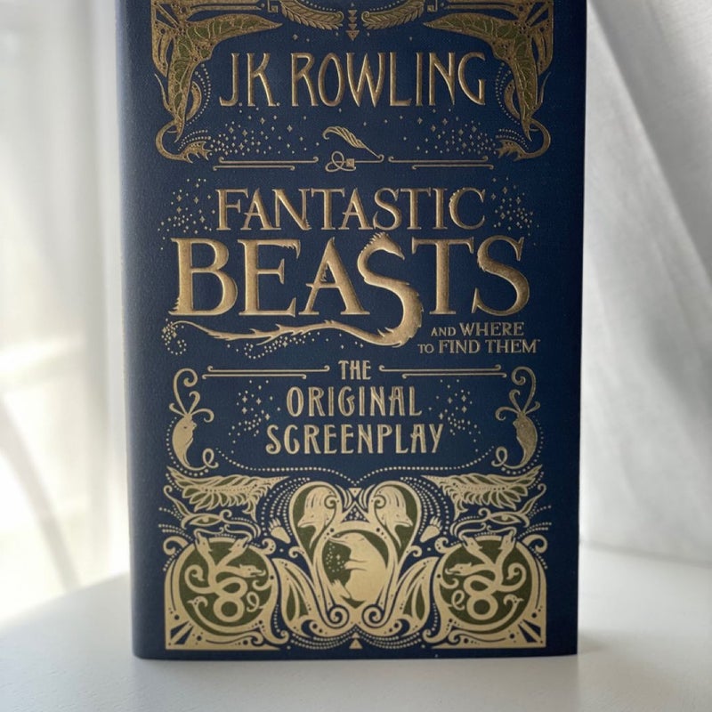 Harry Potter and the Philosopher's Stone & Fatastic Beasts Bundle