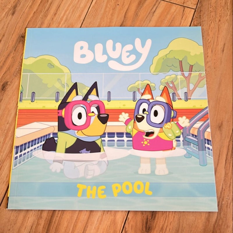 Bluey: the Pool