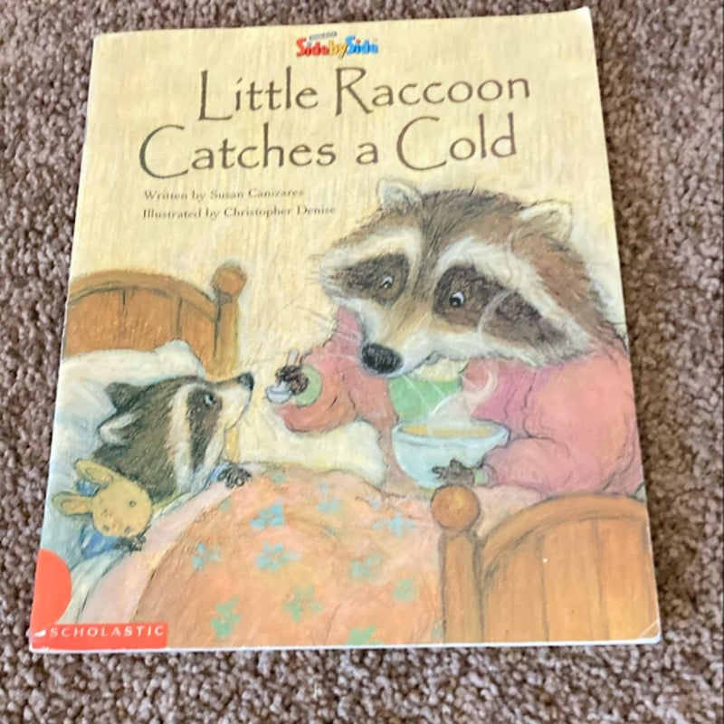 Little Raccoon Catches a Cold