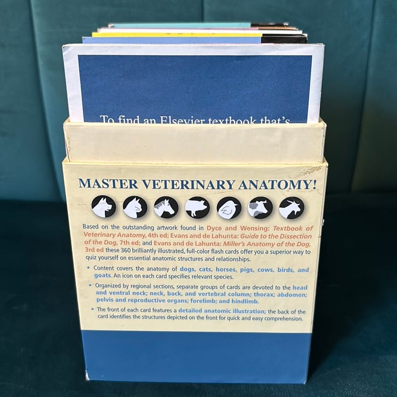 Saunders Veterinary Anatomy Flash Cards