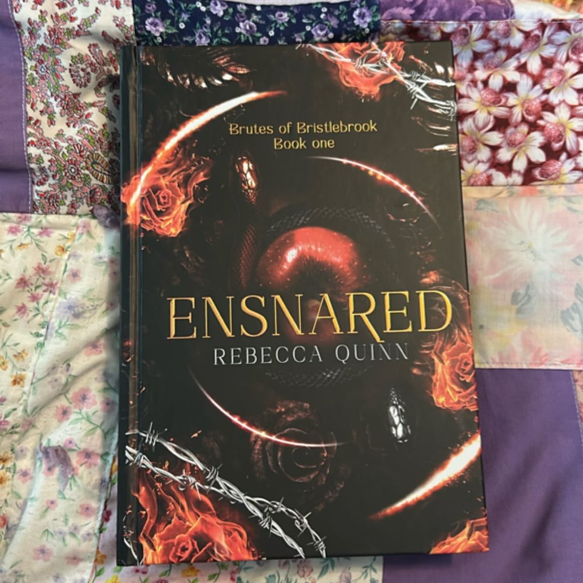 Ensnared by Rebecca Quinn, Hardcover Pangobooks