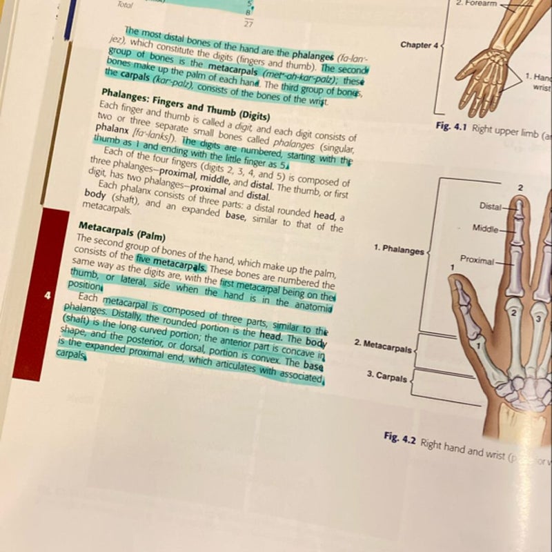 Bontrager's Textbook of Radiographic Positioning and Related Anatomy