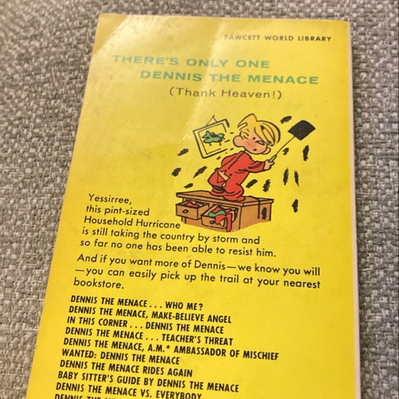 Dennis the Menace: Household Hurricane