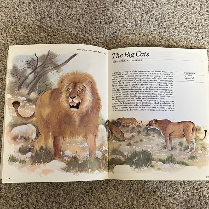 The Doomsday Book of Animals by David Day, Paperback | Pangobooks