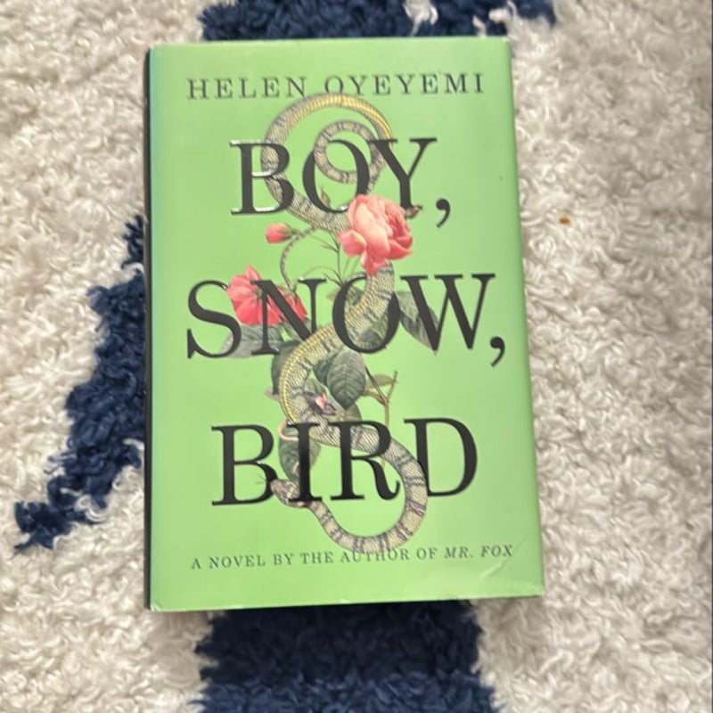 Boy, Snow, Bird