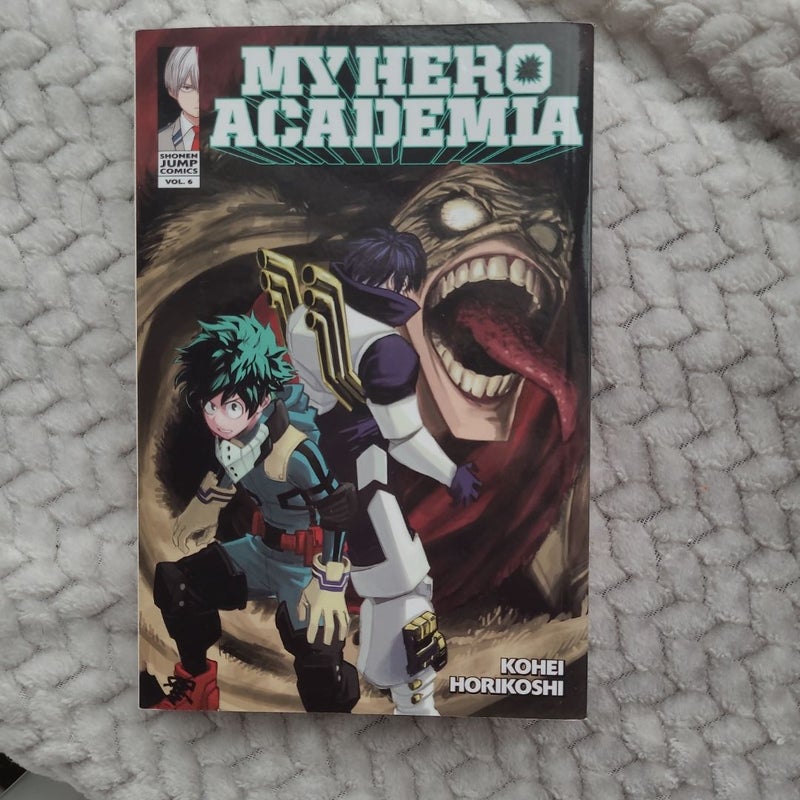 My Hero Academia, Vol. 6