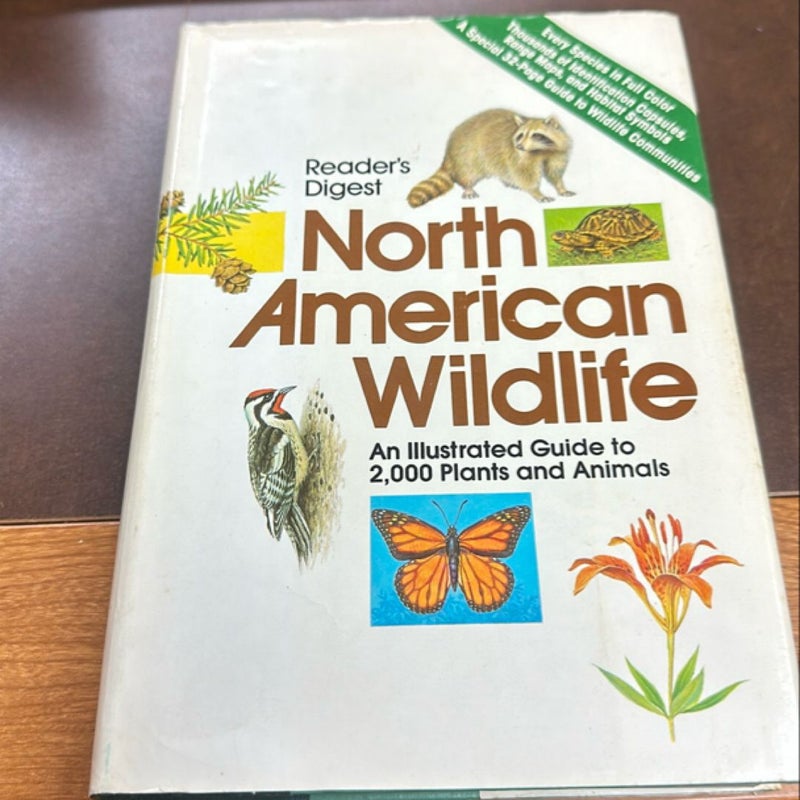 North American Wildlife