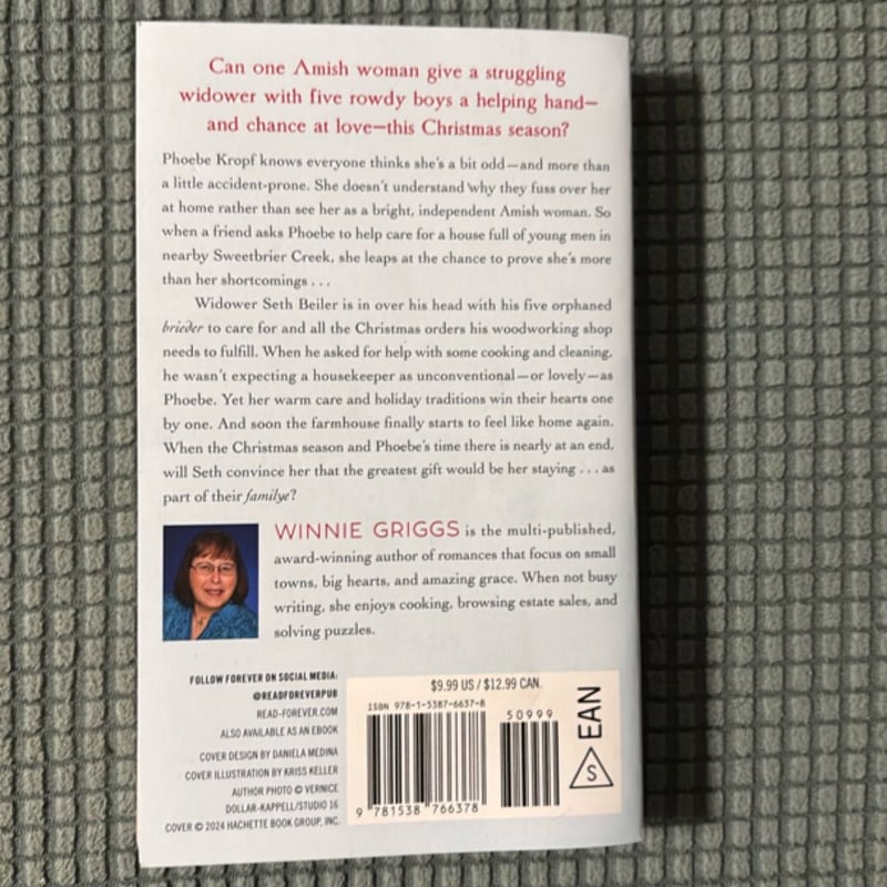 An Amish Christmas Match