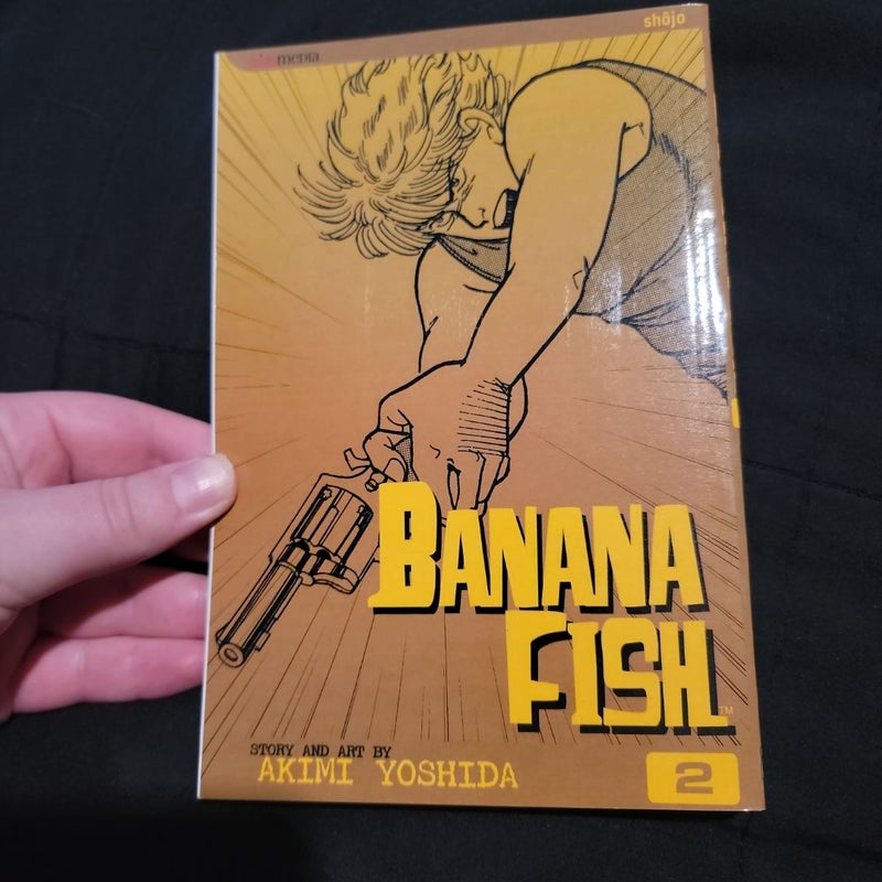 Banana Fish, Vol. 2