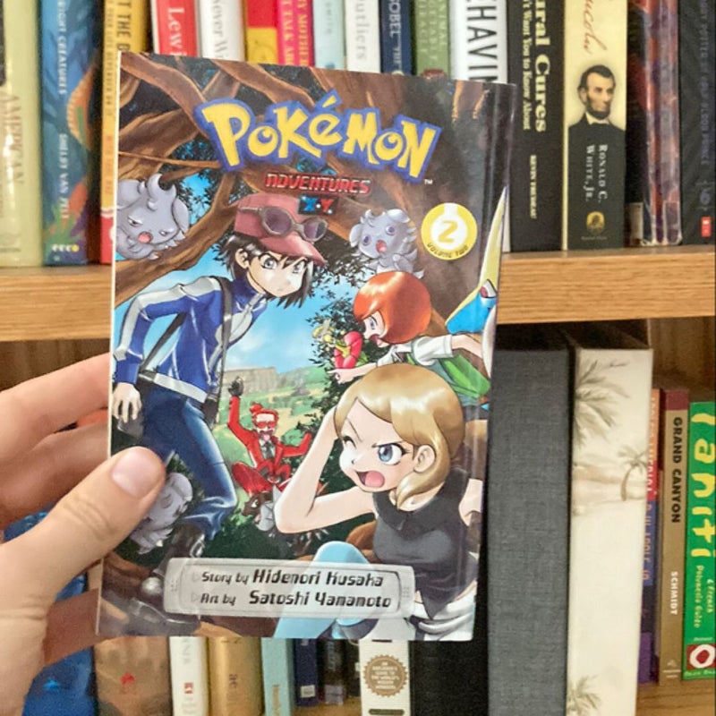 Pokémon Adventures: X*y, Vol. 2