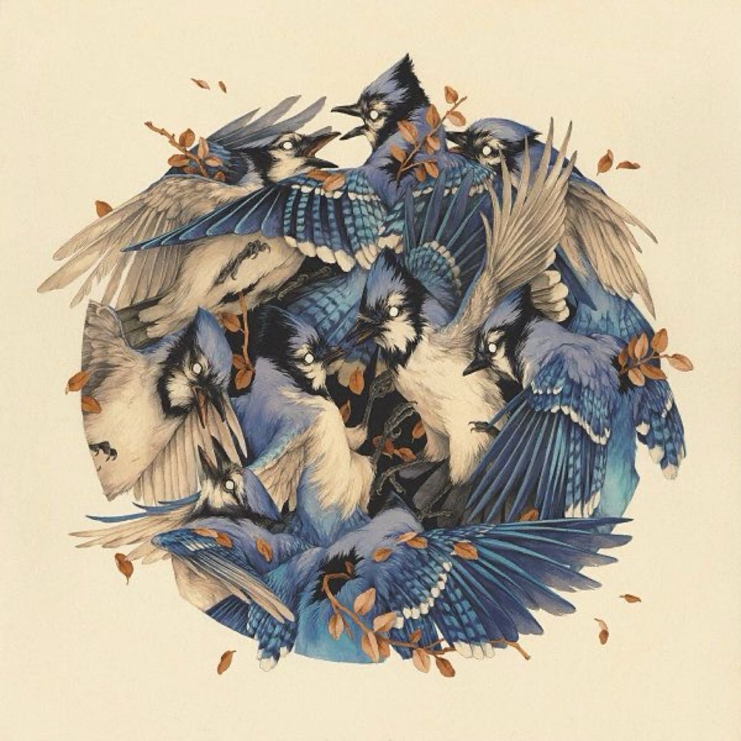 BluejayBooks