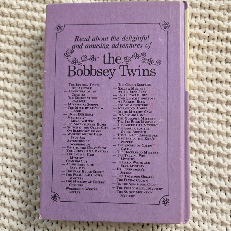 The Bobbsey Twins of Lakeport