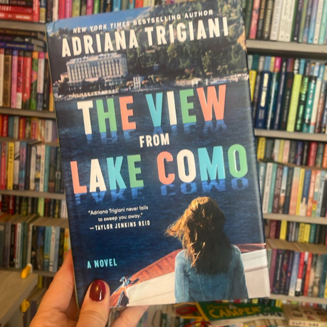 The View from Lake Como