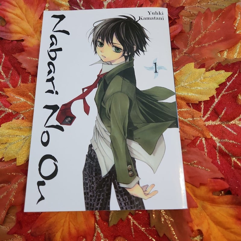 Nabari No Ou, Vol. 1