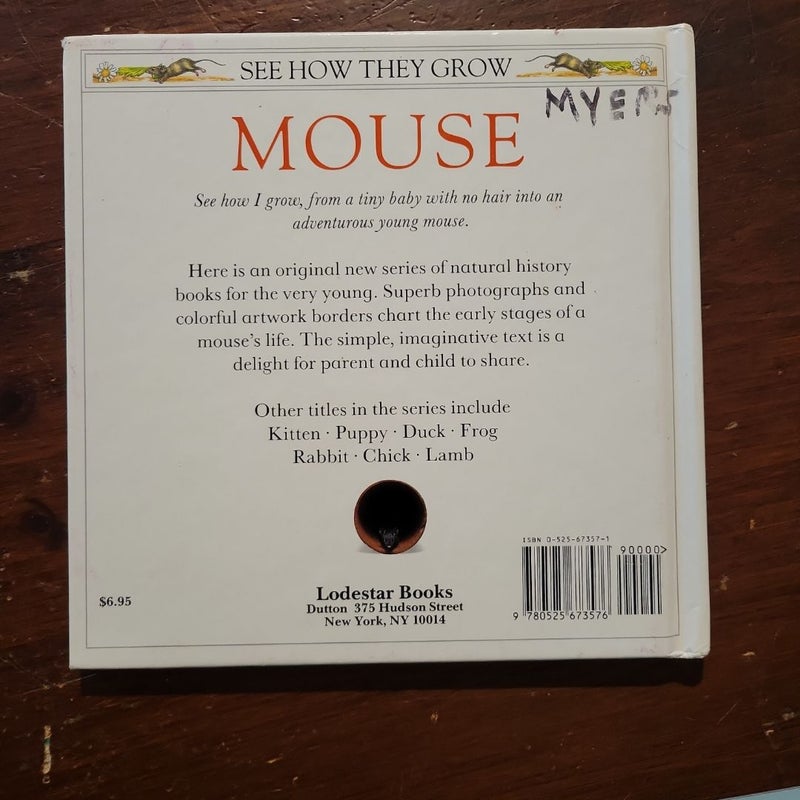 Mouse