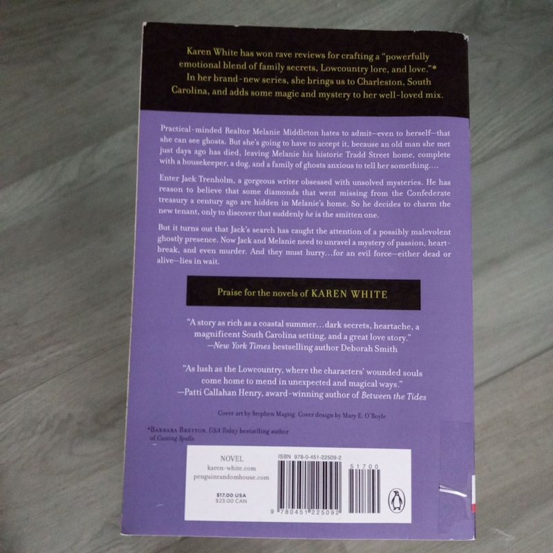 The House on Tradd Street