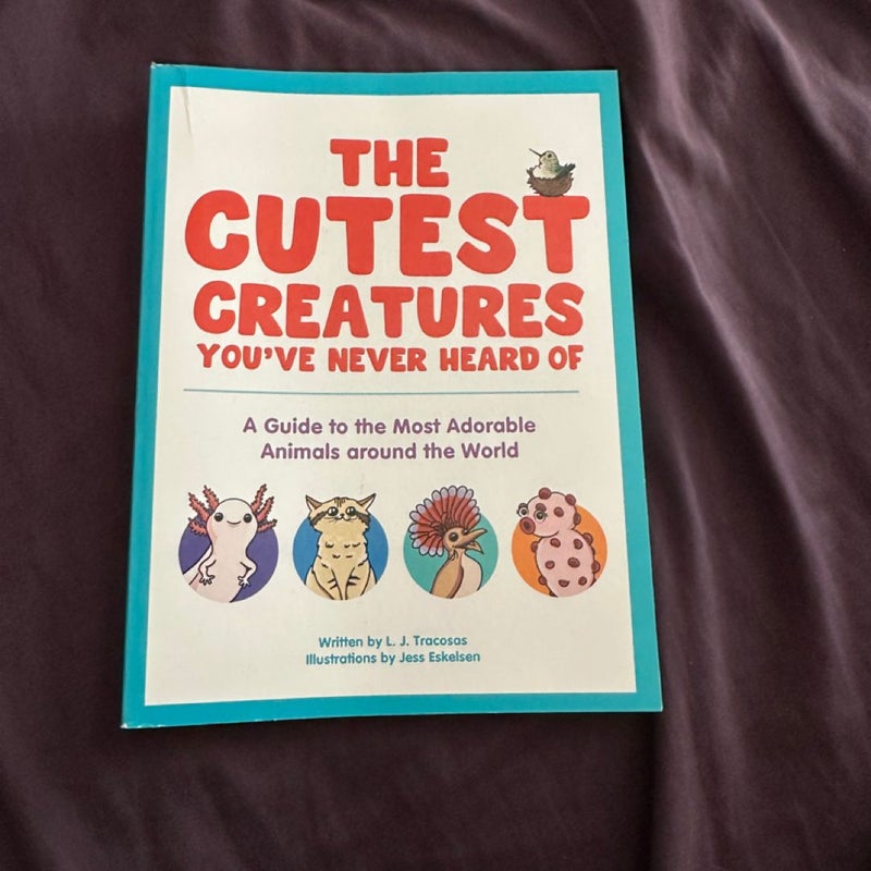 The cutest creatures you’ve never heard of