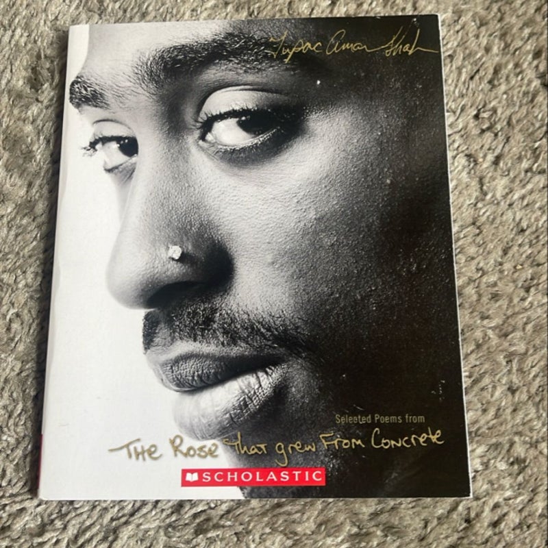 The Rose that Grew from Concrete