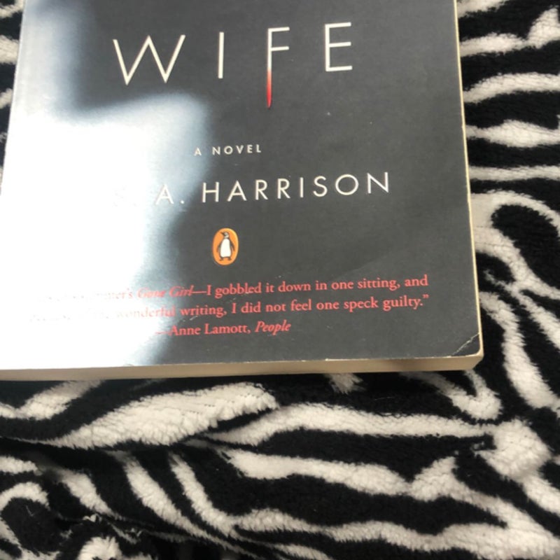 The Silent Wife
