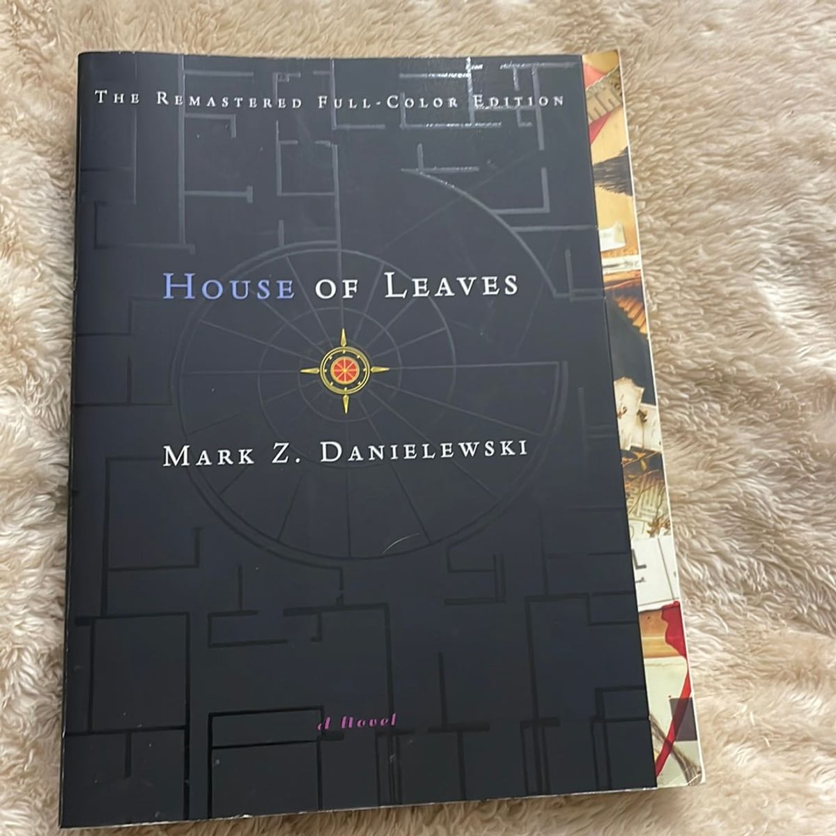 House of Leaves by Mark Z. Danielewski, Paperback | Pangobooks