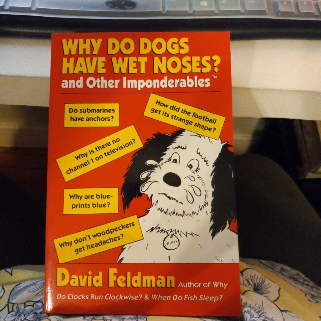 Why Do Dogs Have Wet Noses?