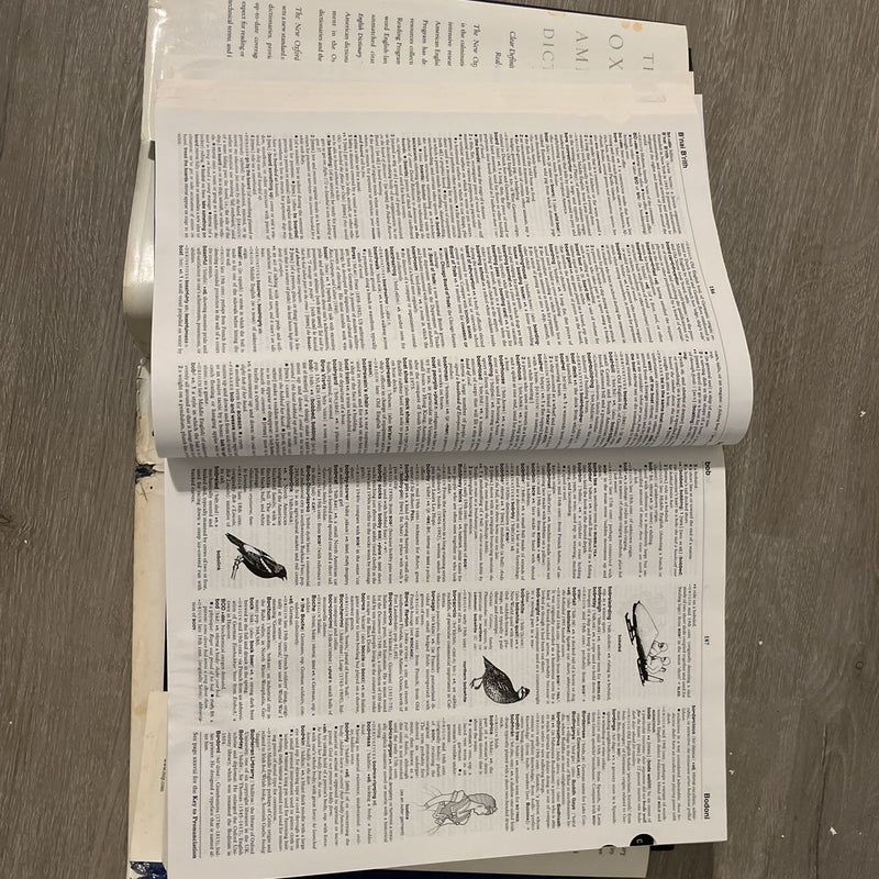The New Oxford American Dictionary