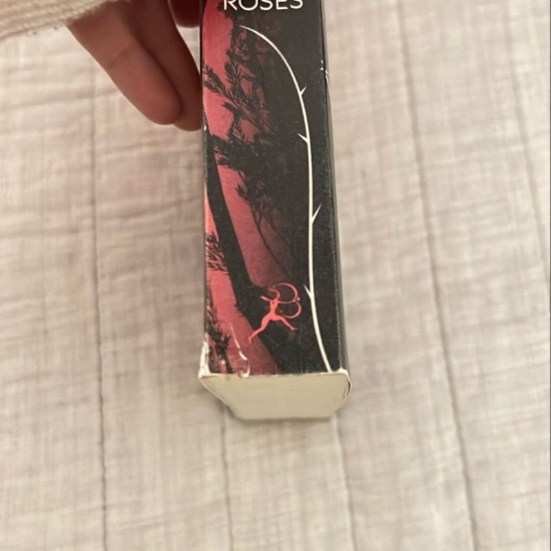 A Court of Thorns and Roses - First Edition