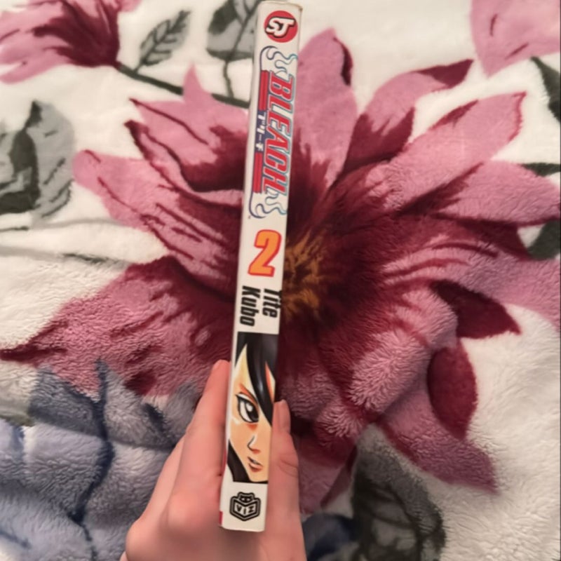 Bleach, Vol. 2