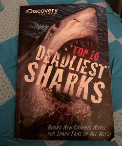 Top 10 Deadliest Sharks