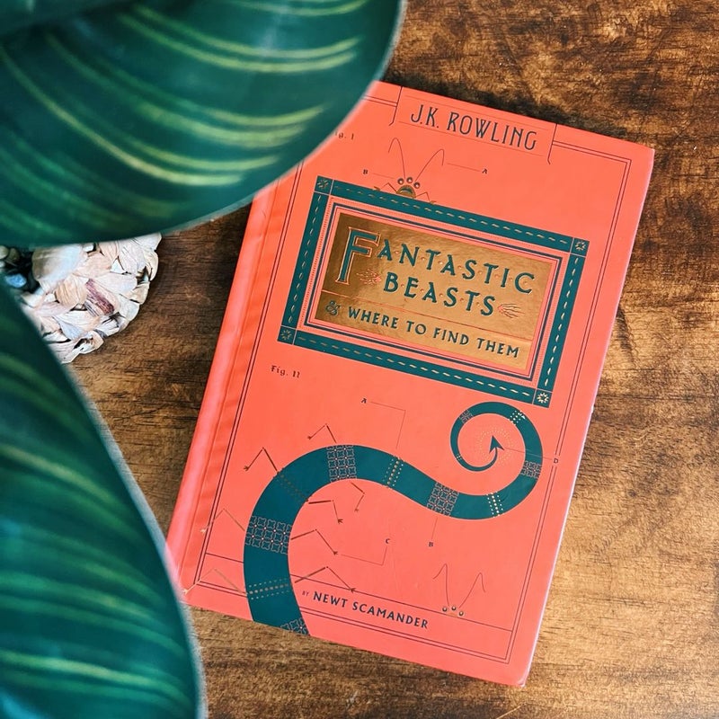 Fantastic Beasts and Where to Find Them