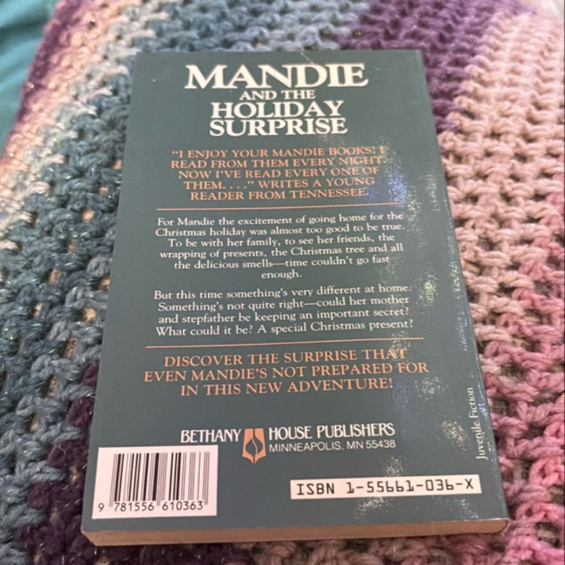 Mandie and the Holiday Surprise