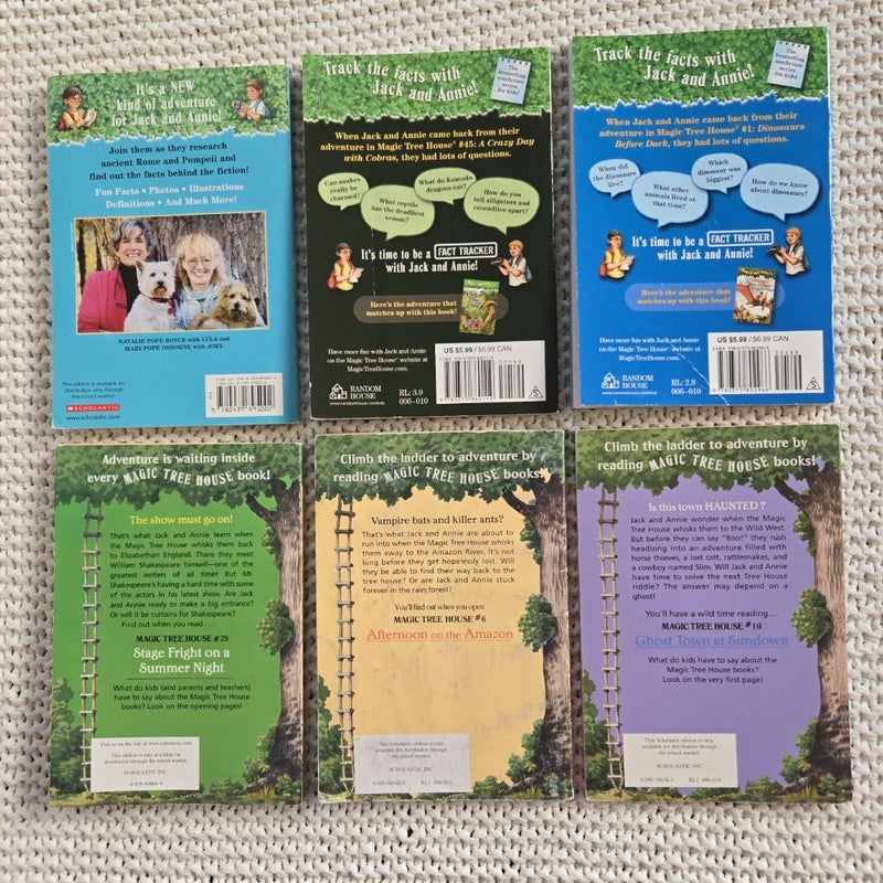 Set of 6 Magic Tree House Books