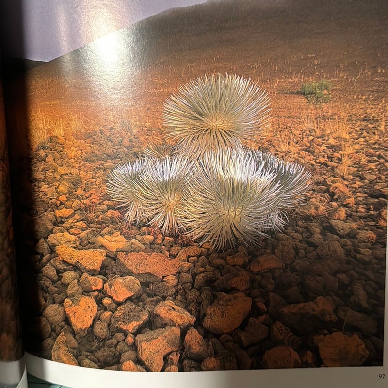 Wildlife Photograph of the Year Portfolio Three