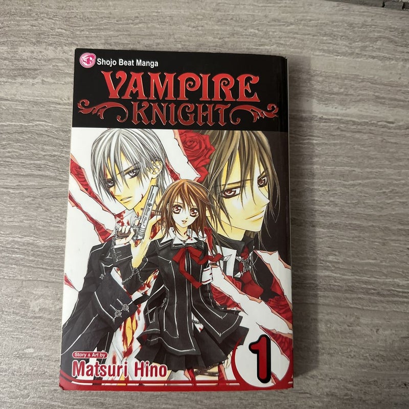 Vampire Knight, Vol. 1