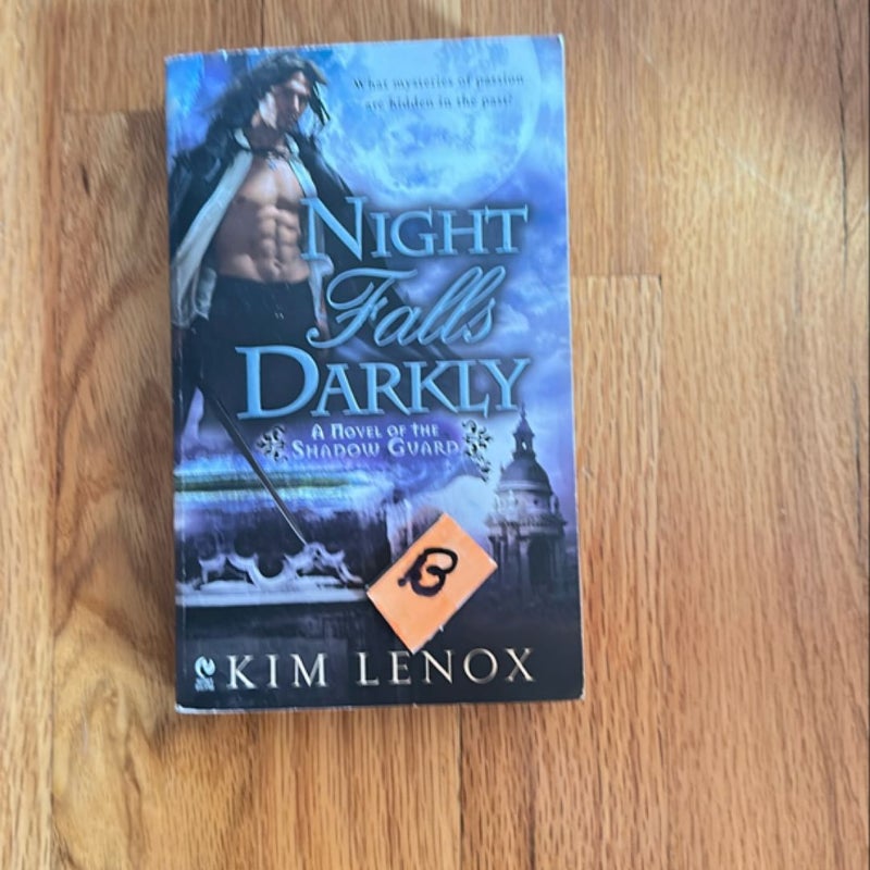 Night Falls Darkly