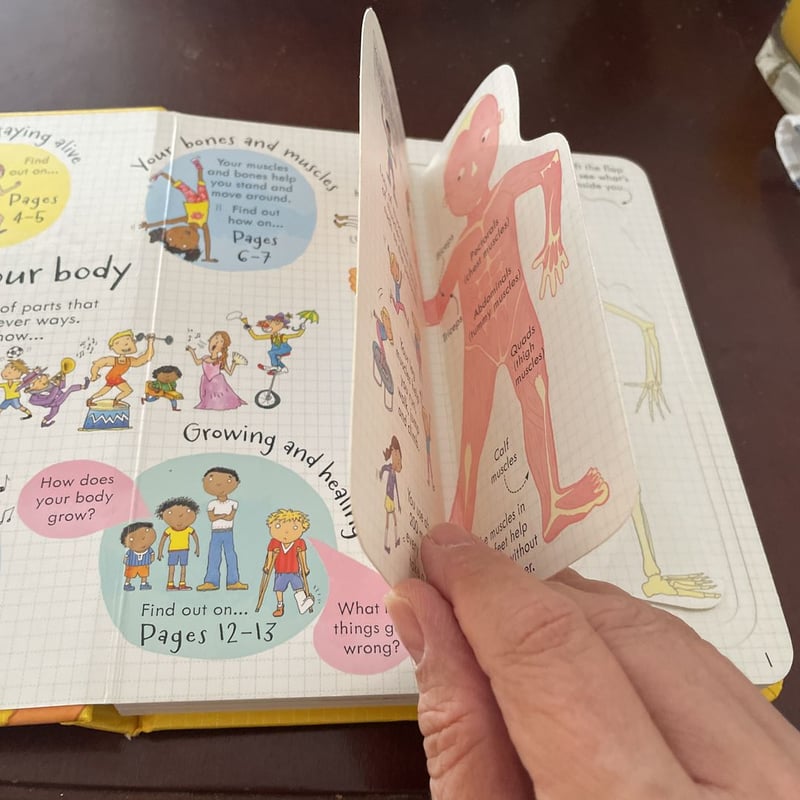 Look Inside Your Body by Louie Stowell, Hardcover Pango Books