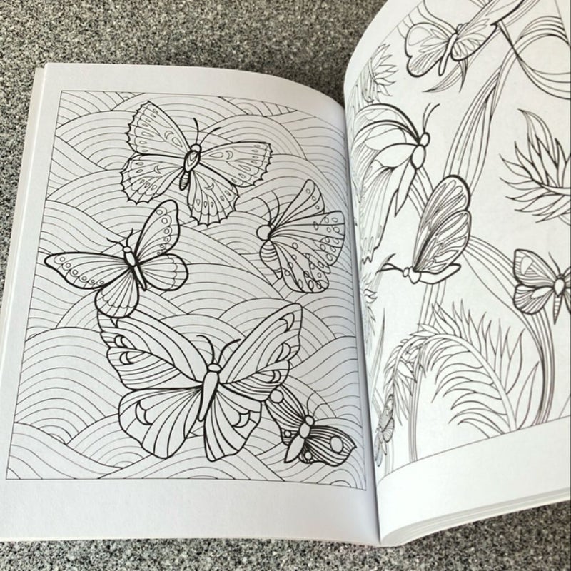 3-D Coloring Book - Butterfly Designs