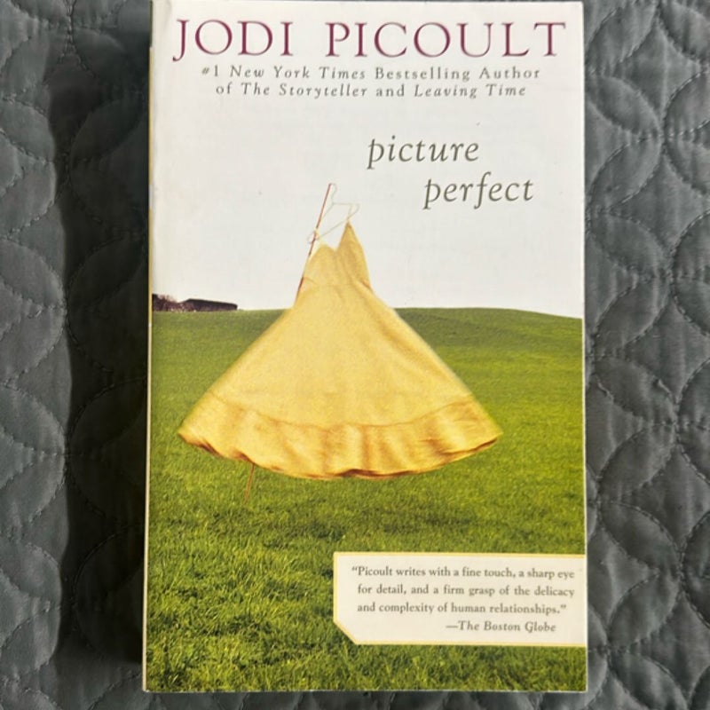Picture Perfect