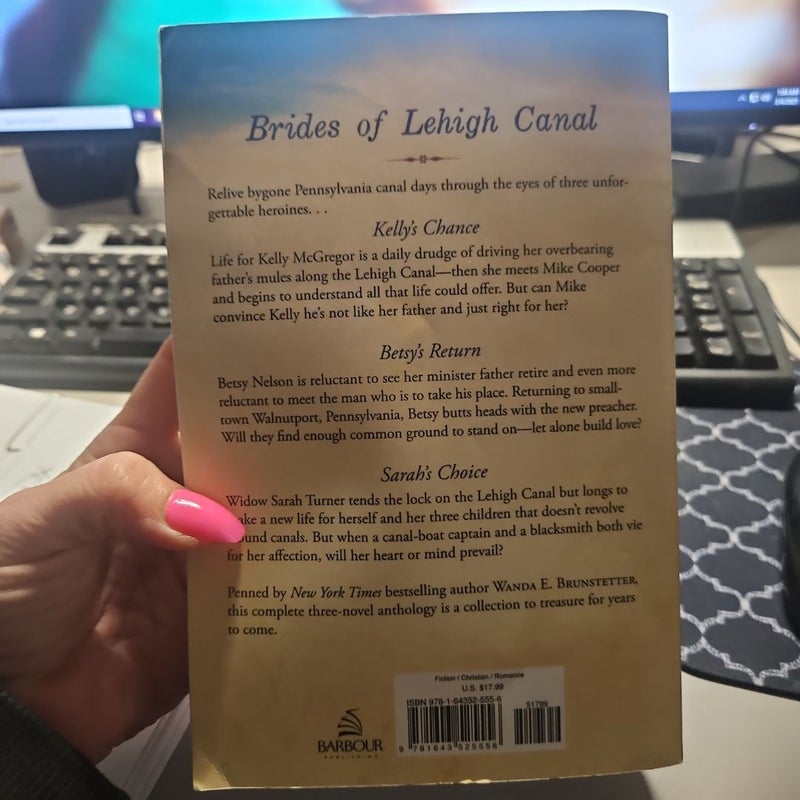 Brides of Lehigh Canal Trilogy