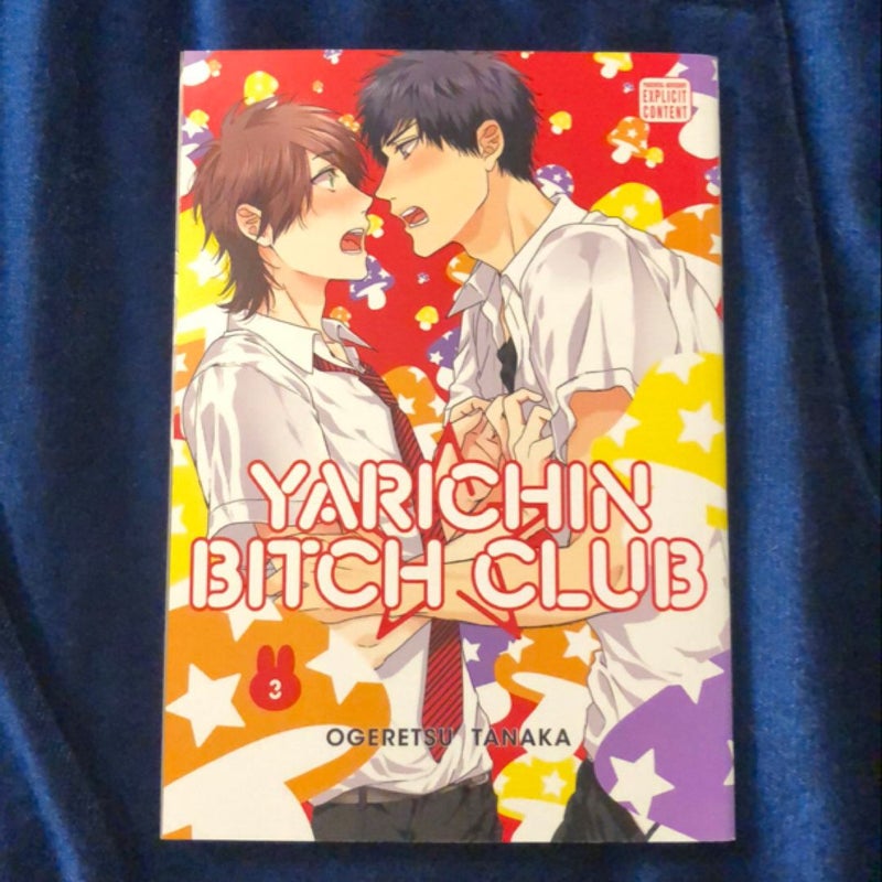 Yarichin Bitch Club, Vol. 3