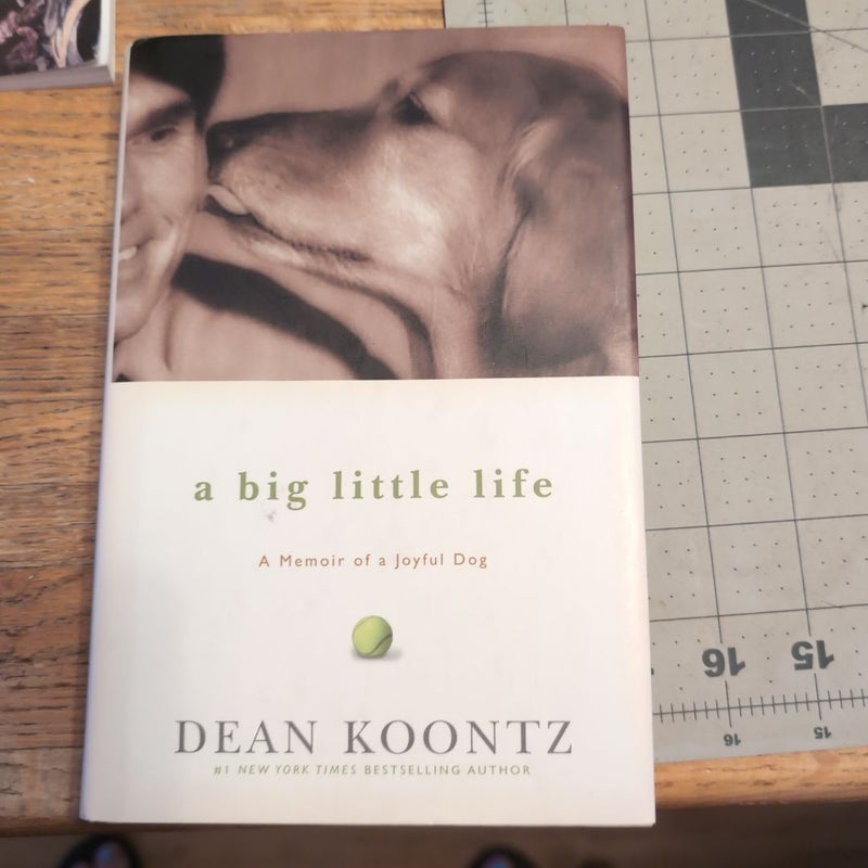 A Big Little Life
