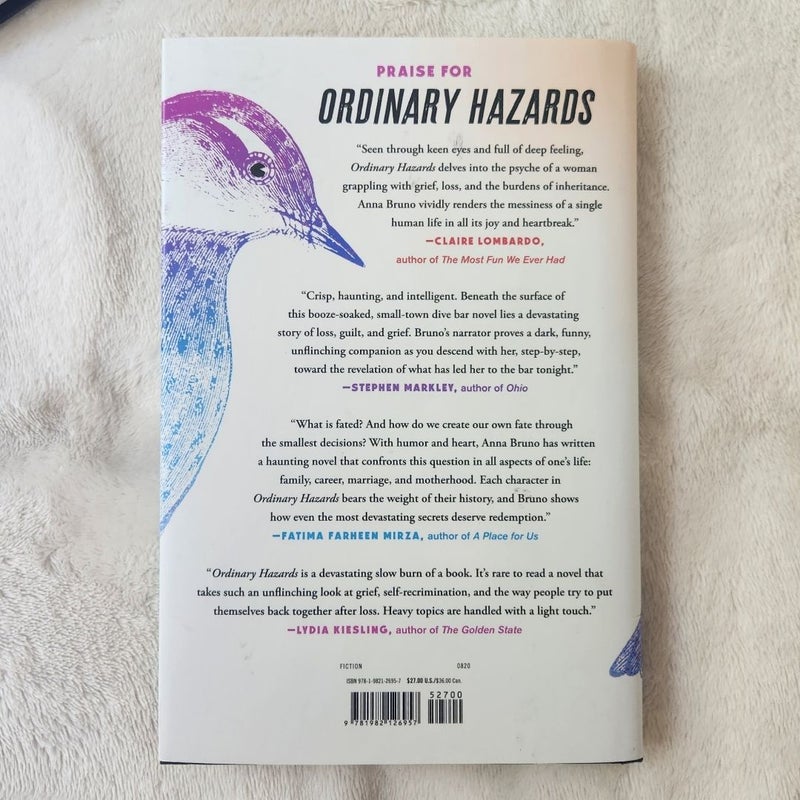 Ordinary Hazards