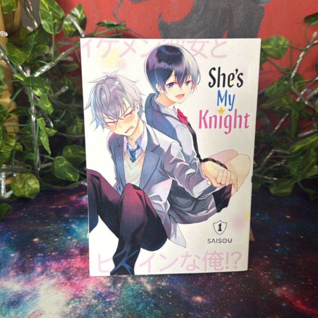 She's My Knight 1