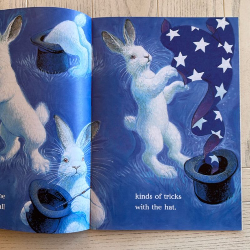 The Magic Rabbit by Richard Jesse Watson, Paperback | Pangobooks