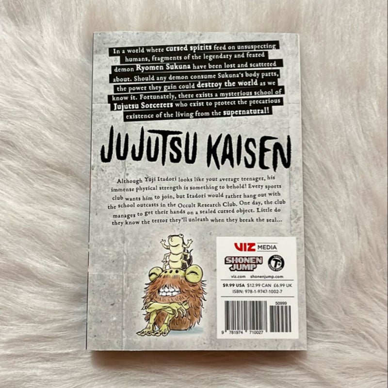 Jujutsu Kaisen, Vol. 1